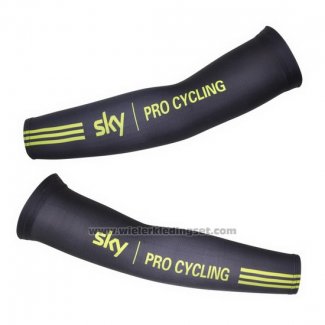 2011 Sky Armstukken Cycling