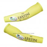 2013 Vini Fantini Armstukken Cycling