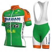 2018 Fietskleding Bardiani Csf Groen en Wit Korte Mouwen en Koersbroek