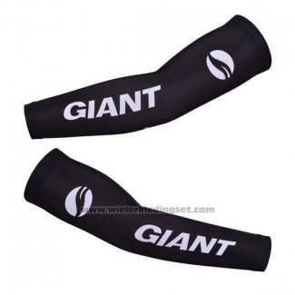 2014 Giant Armstukken Cycling