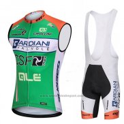 2018 Windvest Bardiani Csf Groen